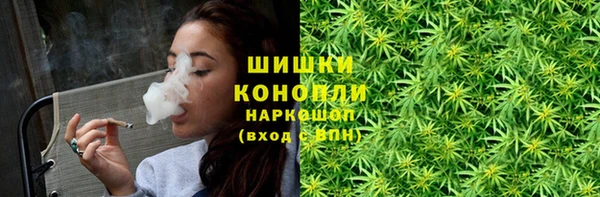 стаф Пестово