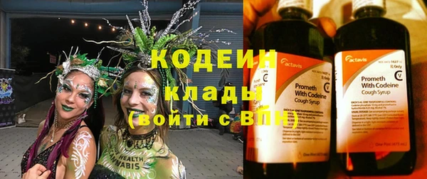 твердый Пересвет