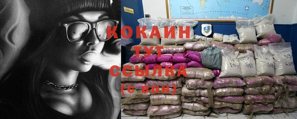 твердый Пересвет