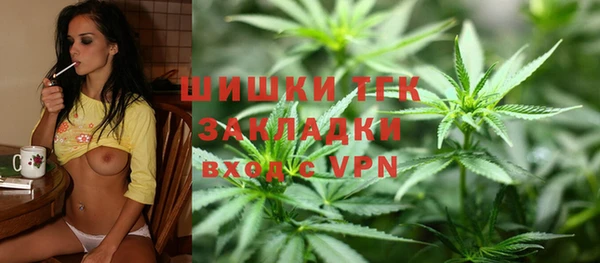 стаф Пестово