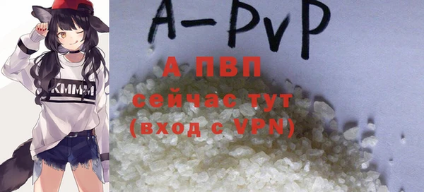 стаф Пестово