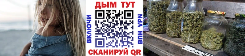 кракен онион  Суоярви  Бошки Шишки Amnesia 
